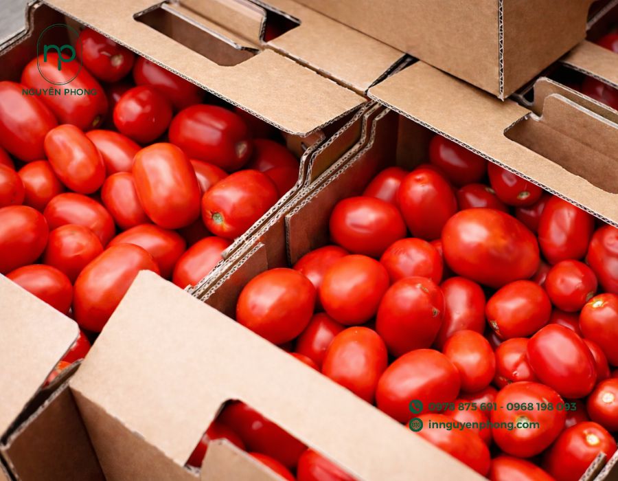 In thùng carton đựng cà chua